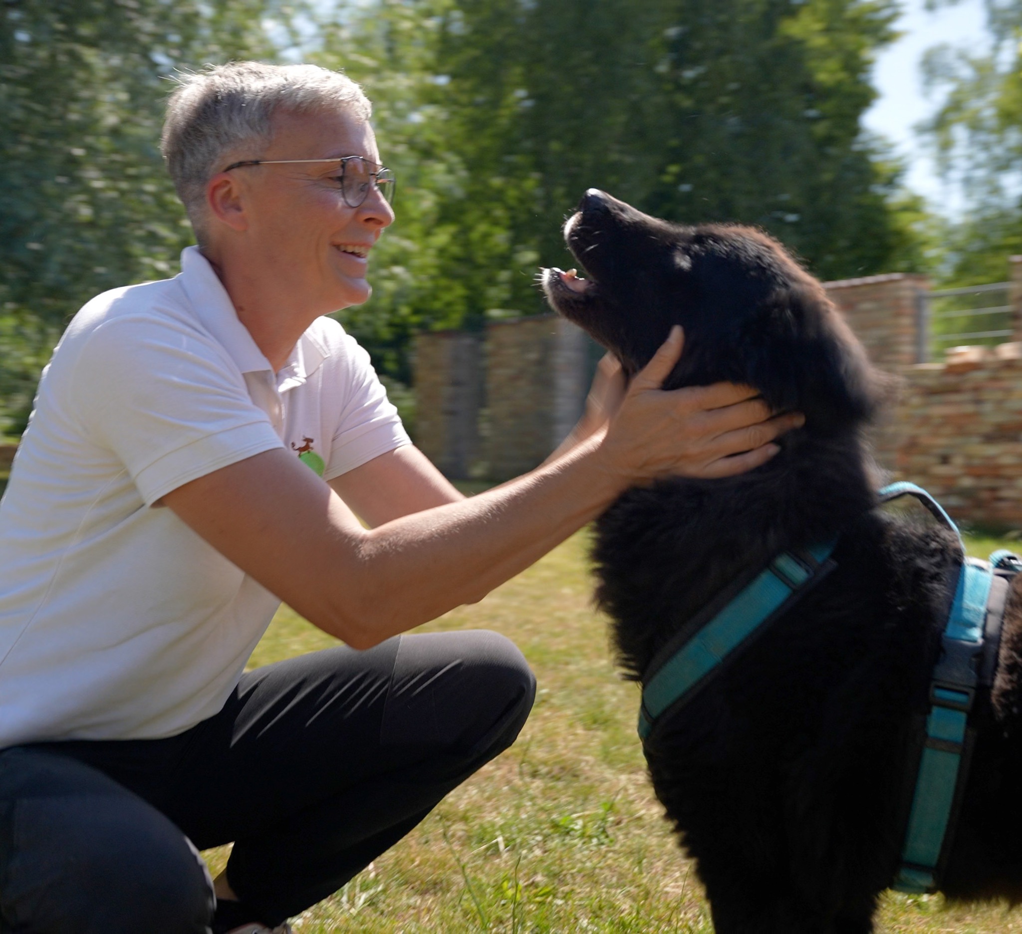 Mitarbeiter arbeitet ruhig mit einem gesicherten Hund.
