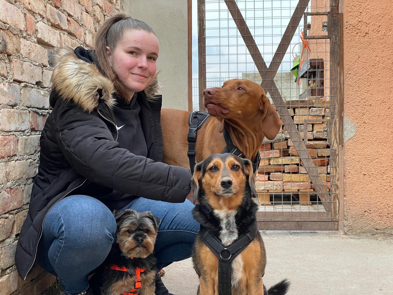 Mitarbeiterin mit mehreren Hunden in einem gesicherten Außenbereich.